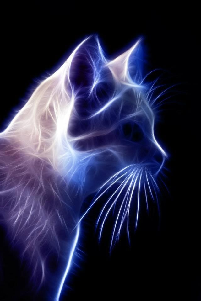 Art Cat Fractals - HD Wallpaper 