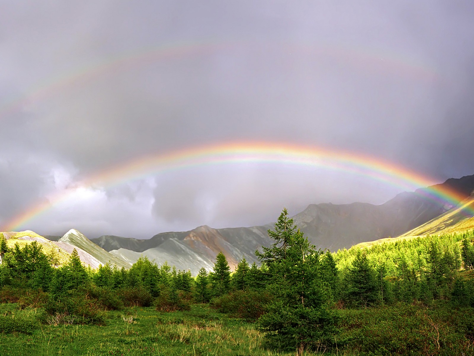 Каждой Ноты Подбери Цвет - HD Wallpaper 