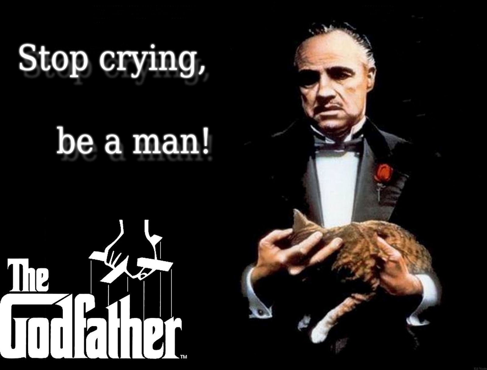 Memorable Quotes From The Godfather - Godfather Part 1 Poster - HD Wallpaper 