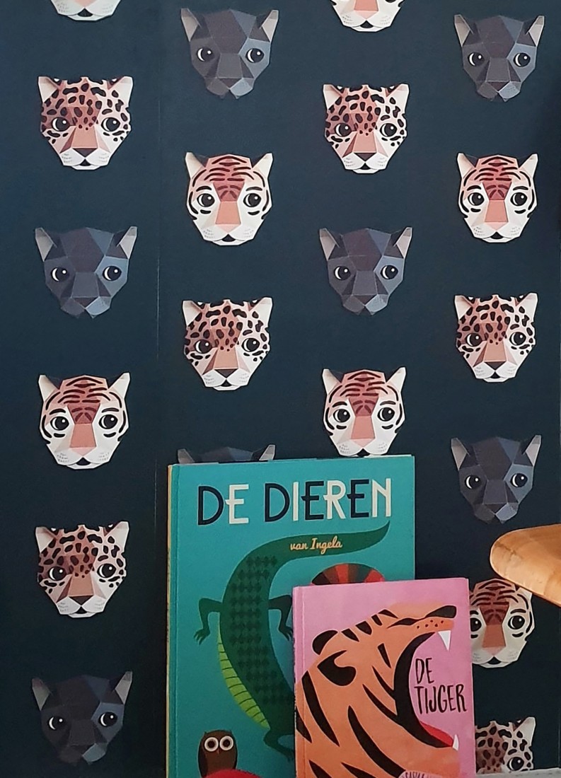 Jongens Behang - HD Wallpaper 