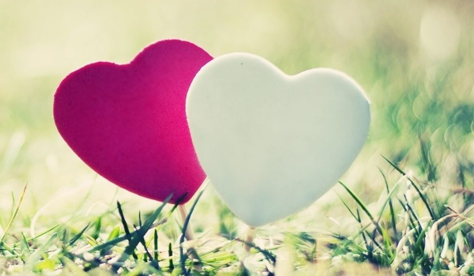 Cute Love Wallpaper For Whatsapp Dp - HD Wallpaper 