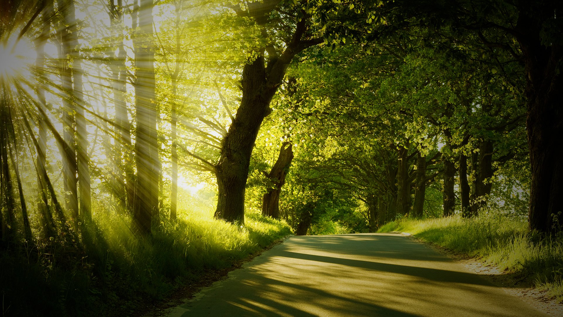 Nature Wallpaper Banner - 1920x1080 Wallpaper Nature Wallpaper Banner - 1920x1080 Wallpaper