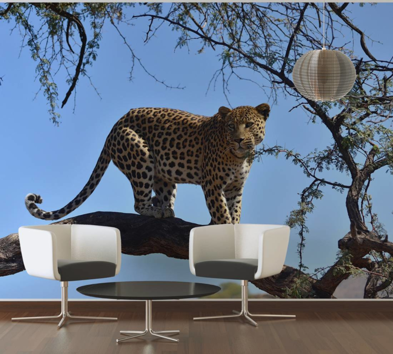 36005 4 Titanium - HD Wallpaper 