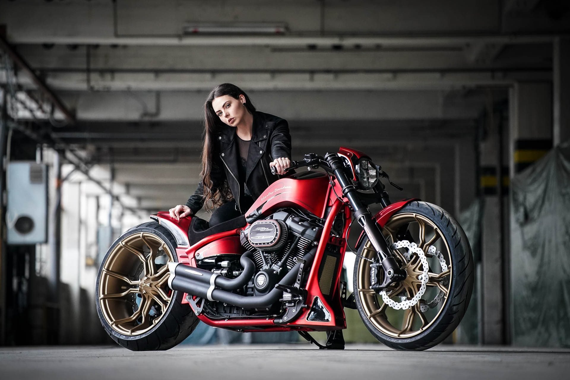 Harley Davidson Hd Wallpaper Women - HD Wallpaper 