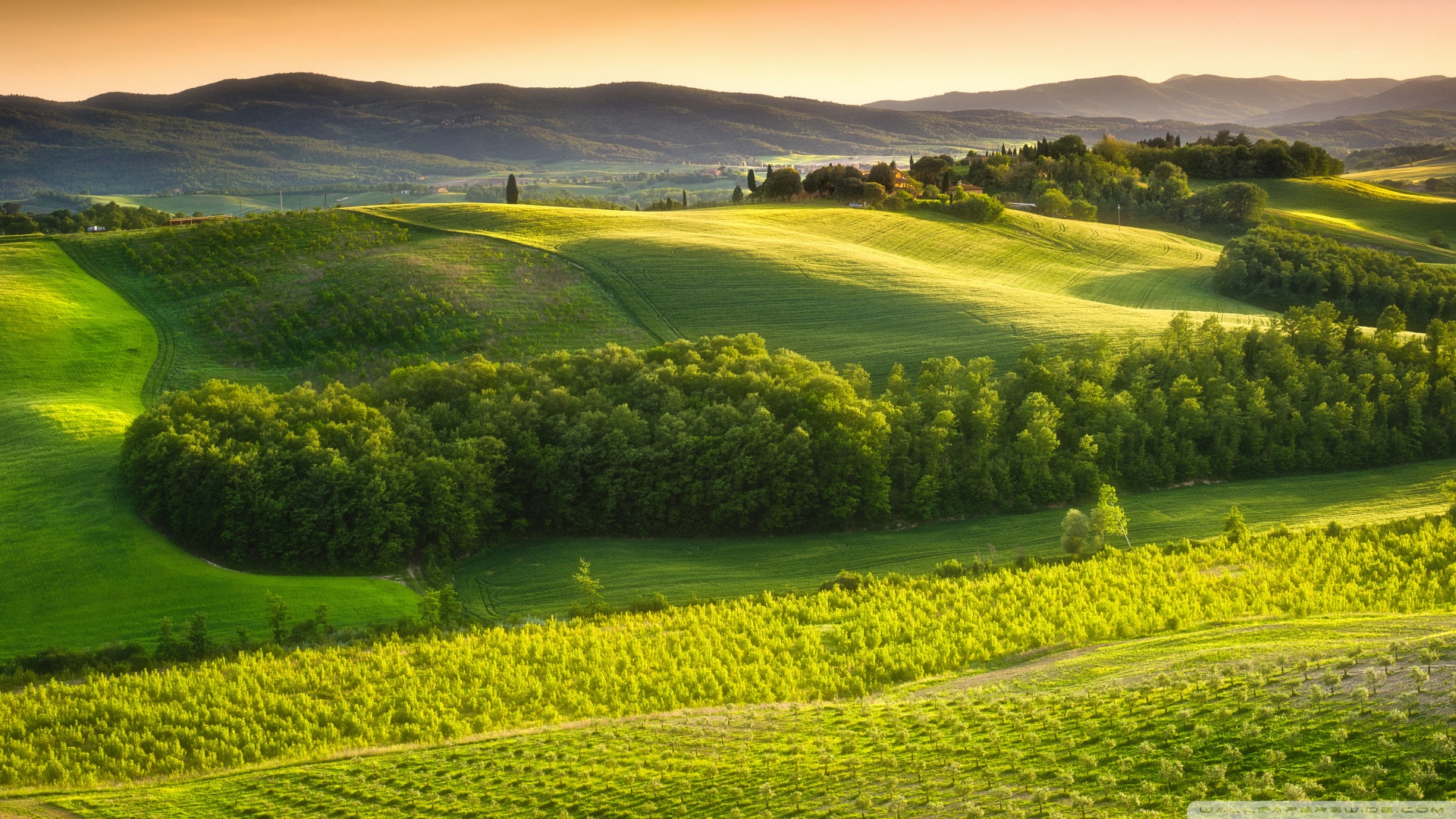 Tuscany Nature - HD Wallpaper 