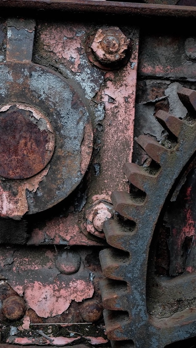 Wallpaper - HD Wallpaper 