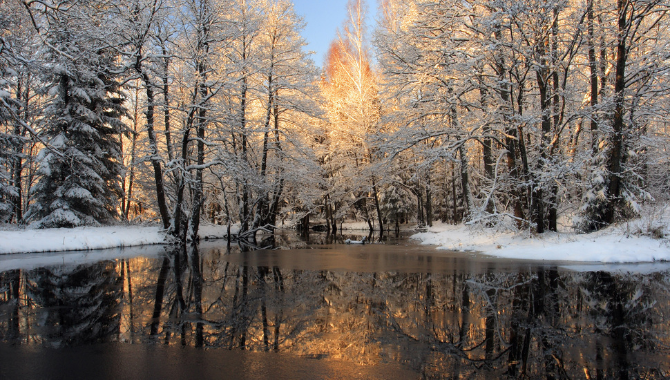 Forest, Snow, Ice, Cork, River, Winter Desktop Background - Winter Forest Wallpaper Hd - HD Wallpaper 