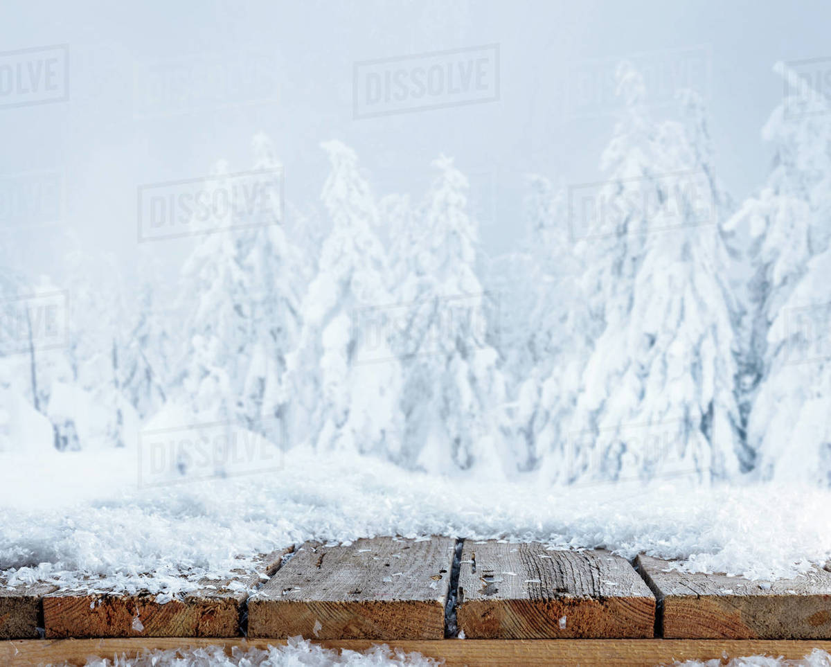 Striped Brown Wooden Background On Winter Forest Wallpaper - Snow - HD Wallpaper 