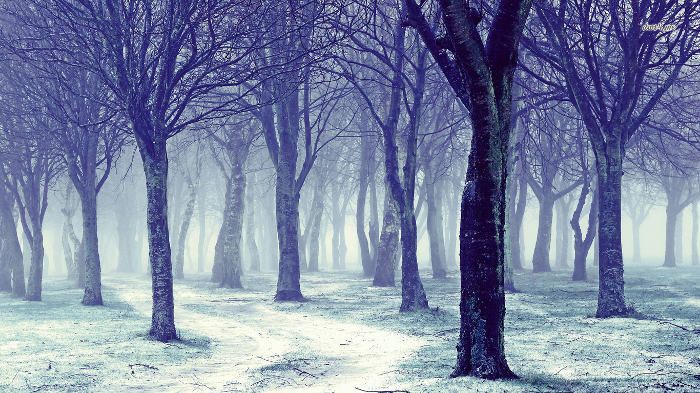 Desktop Wallpaper Winter Forest - HD Wallpaper 