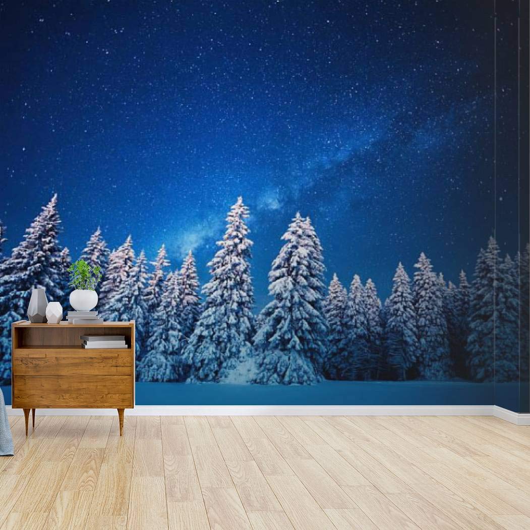 Medion Hofer Tv - HD Wallpaper 