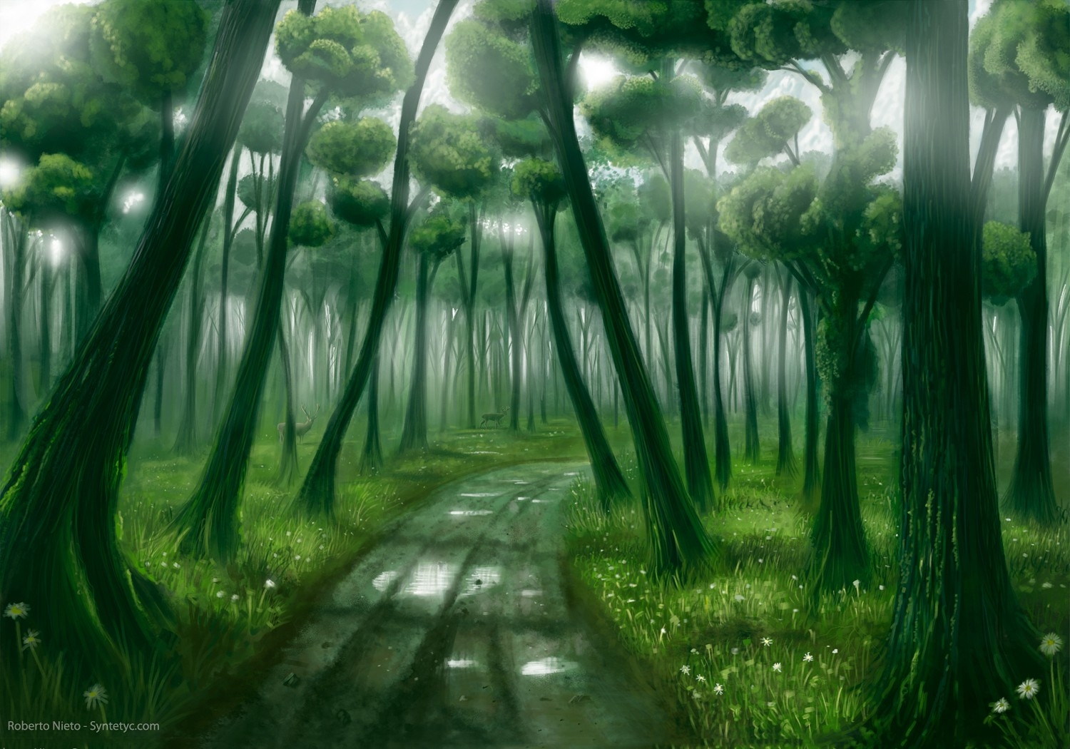 Magic Forest Wallpaper Hd - HD Wallpaper 