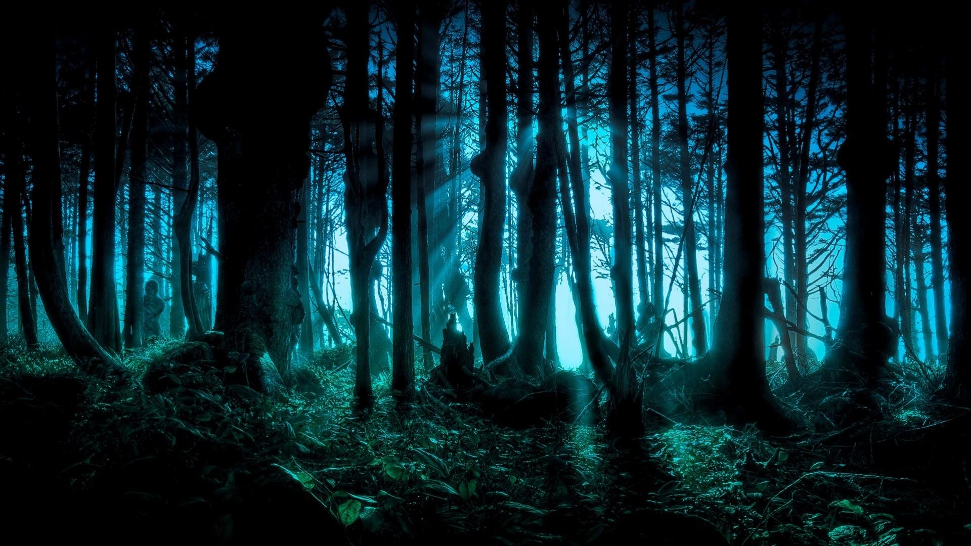 Free Fantasy Forest High Quality Wallpaper Id - Light And Dark Project - HD Wallpaper 