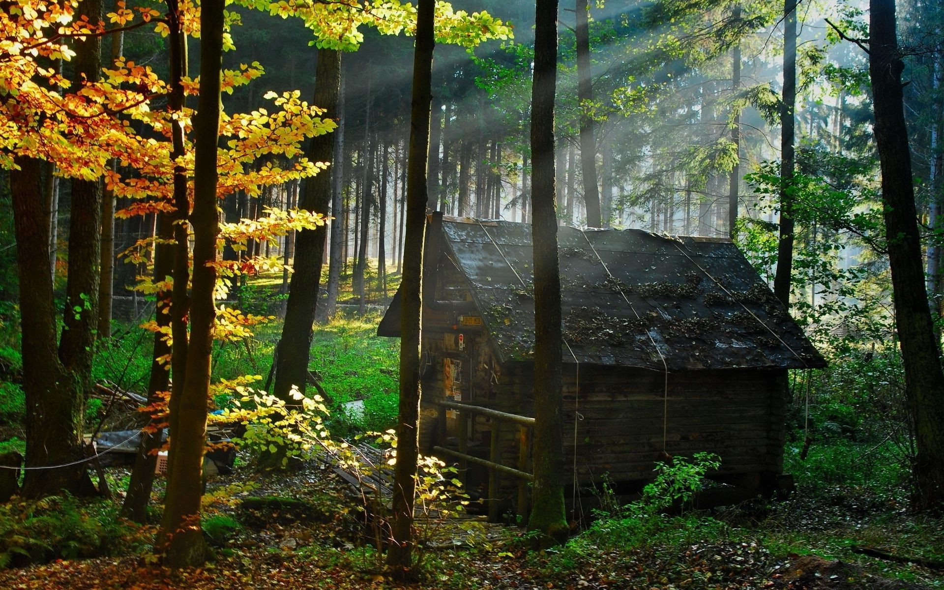 House In Forest Background - HD Wallpaper 