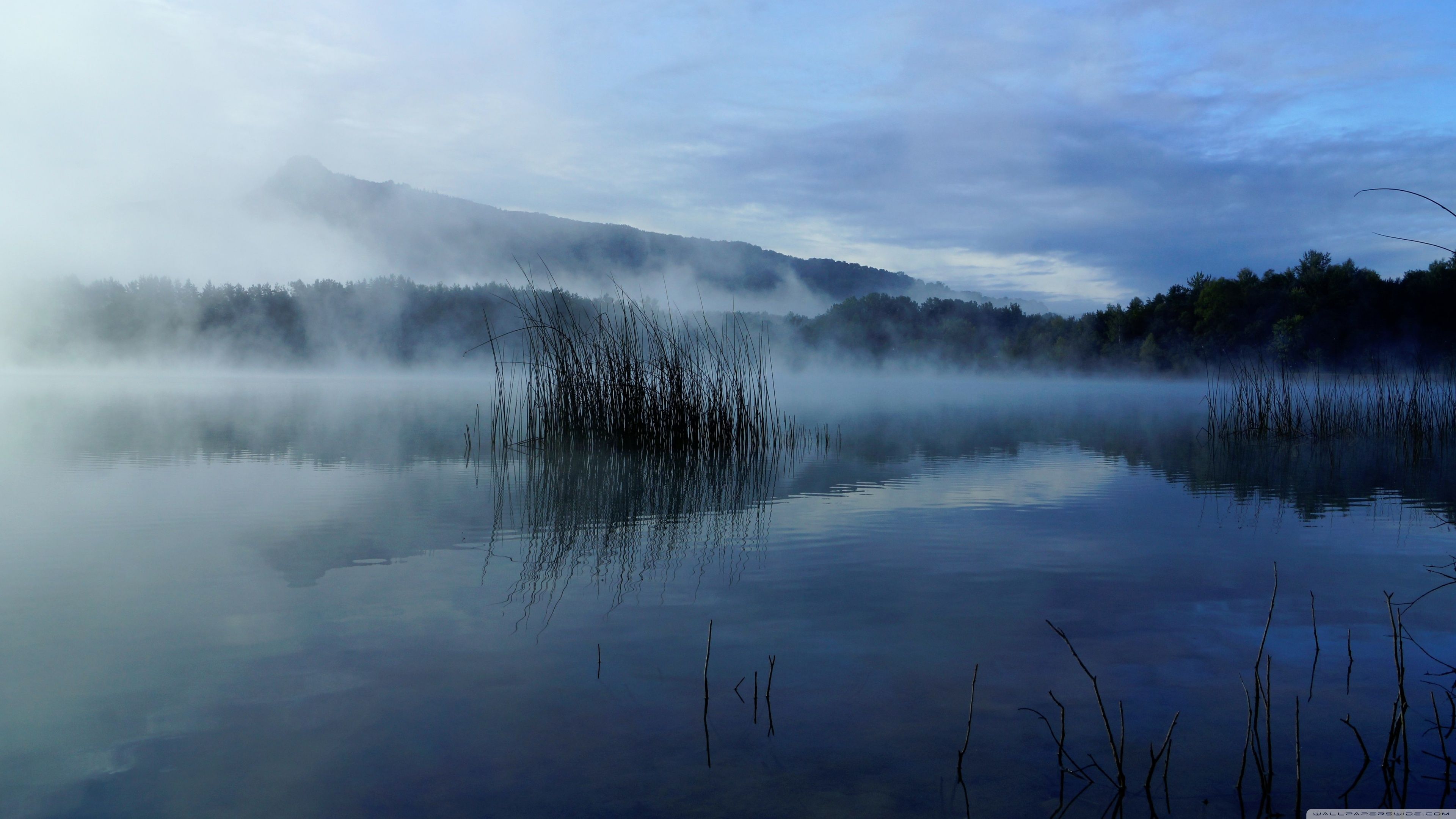 Mobile Phone - HD Wallpaper 