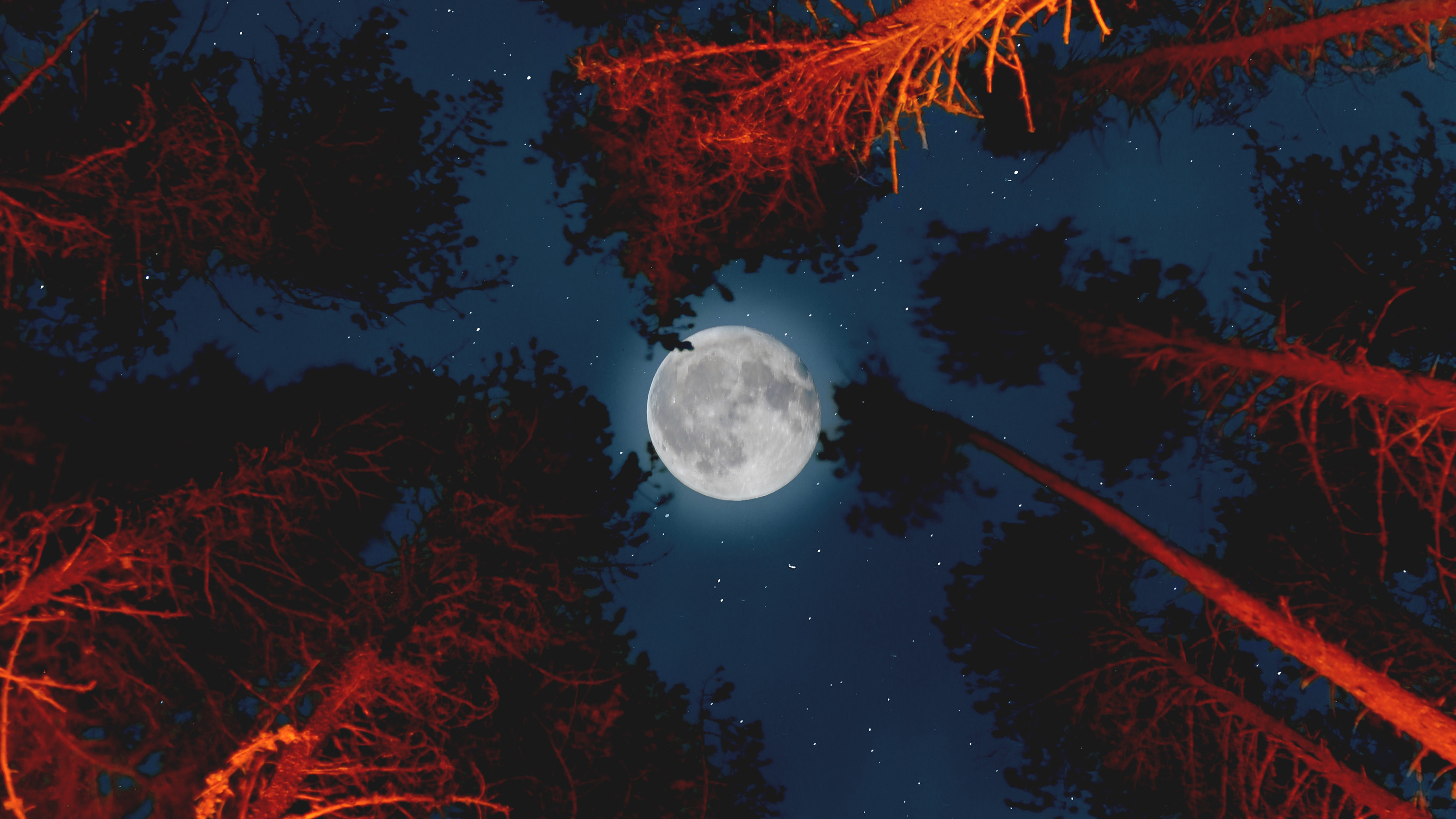 Moon With Campfire In Forest Wallpapers - Night Forest Full Moon - HD Wallpaper 