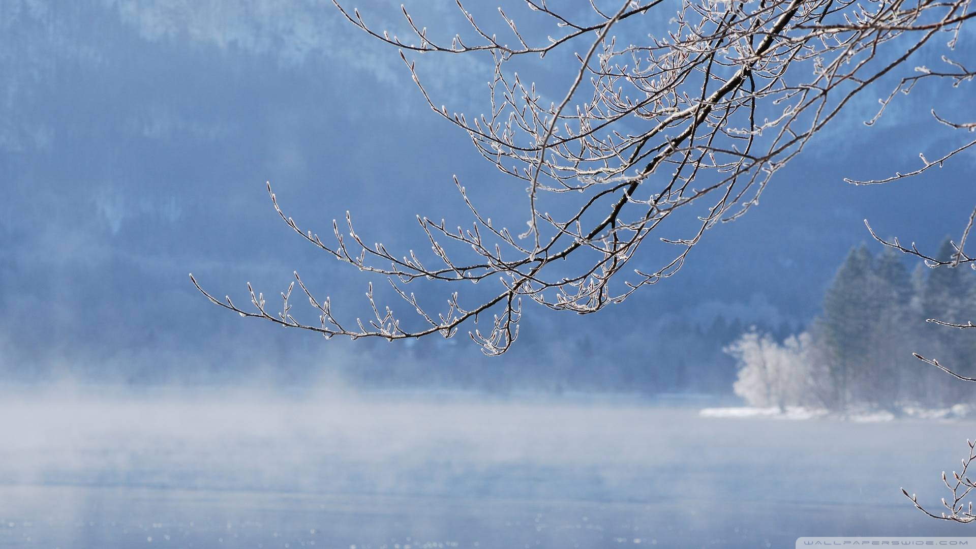 Winter - HD Wallpaper 