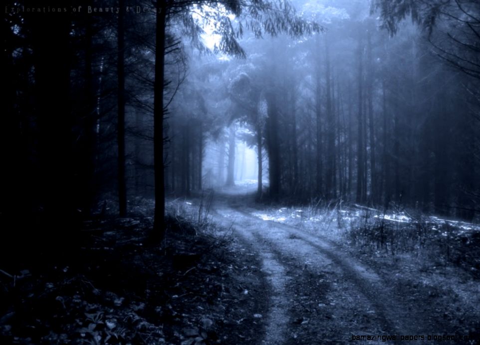 Dark Winter Forest Wallpaper Cute Wallpapers - Abraham Lincoln Vampire Hunter Twilight - HD Wallpaper 