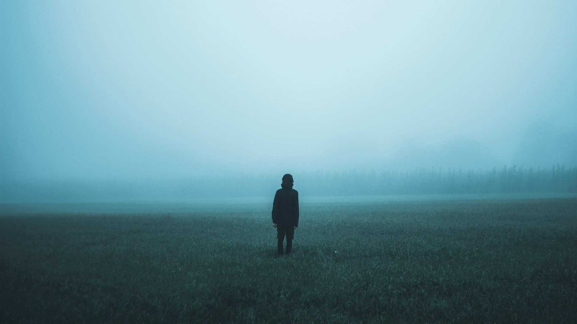 Wallpaper Field, Man, Fog - Mist - HD Wallpaper 