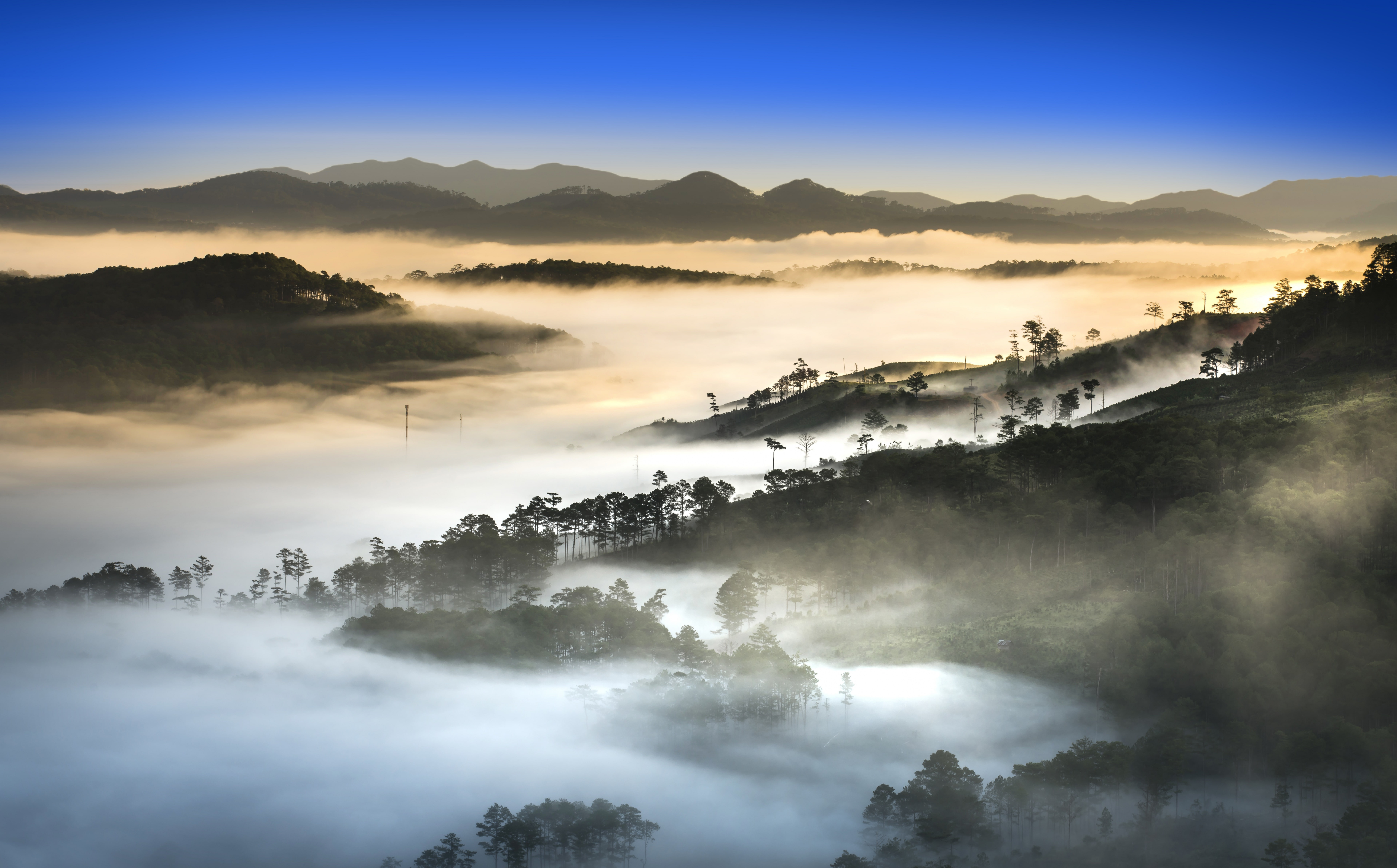 Vietnam Forest - HD Wallpaper 