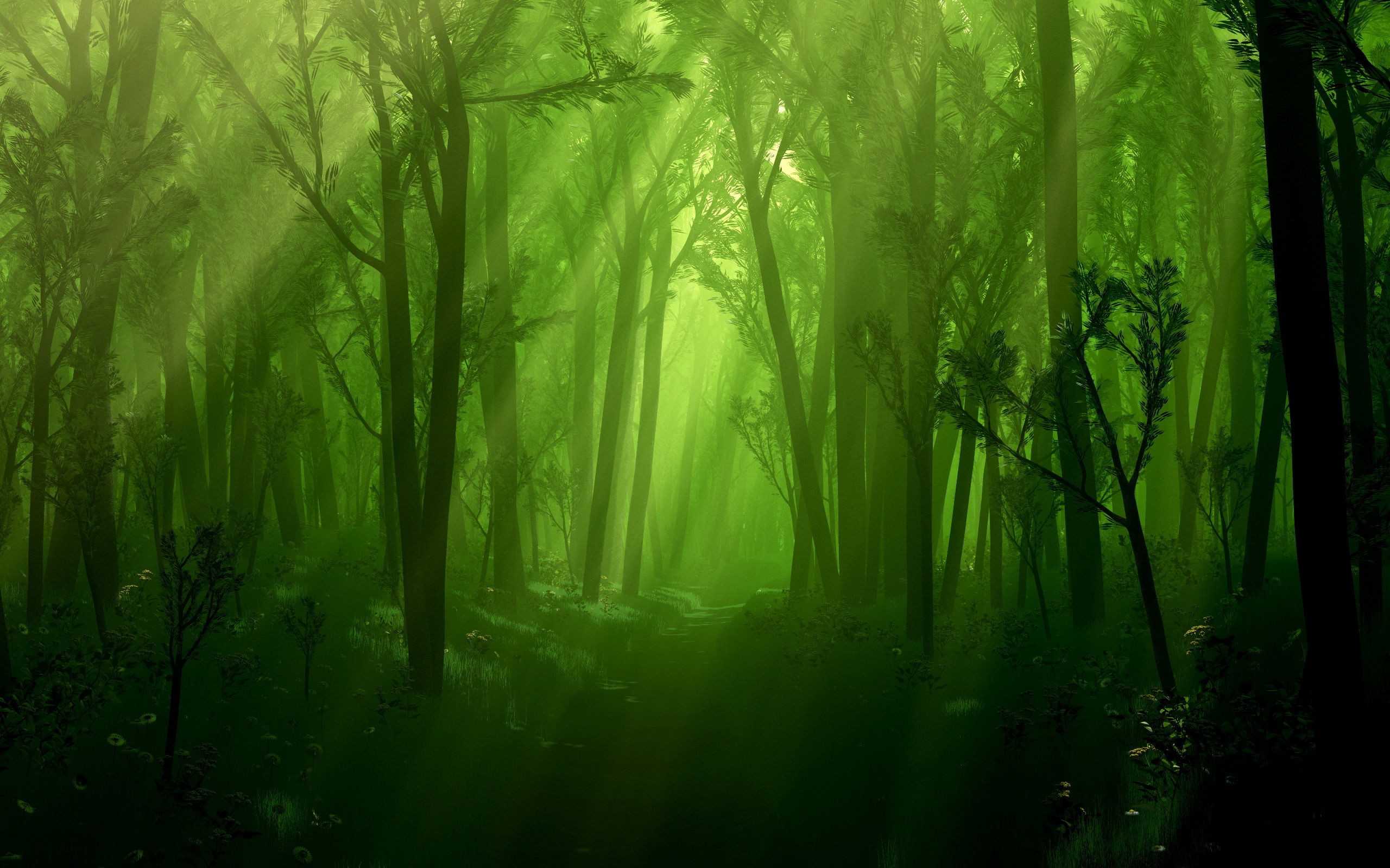 Enchanted Forest Background - HD Wallpaper 