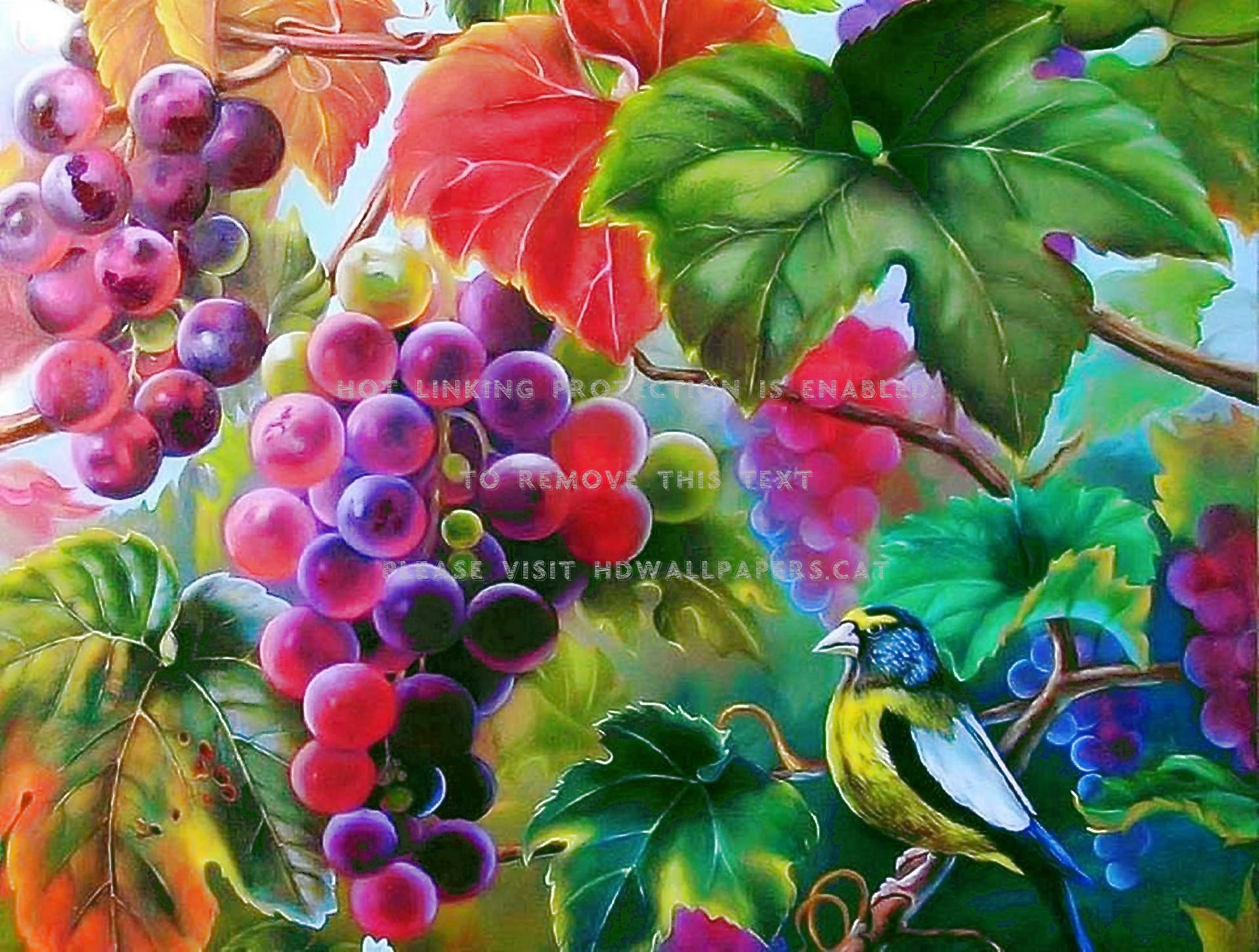 Grape Art Paintings Animals Fruit Tree Bird - Art Of Grapes Tree - HD Wallpaper 