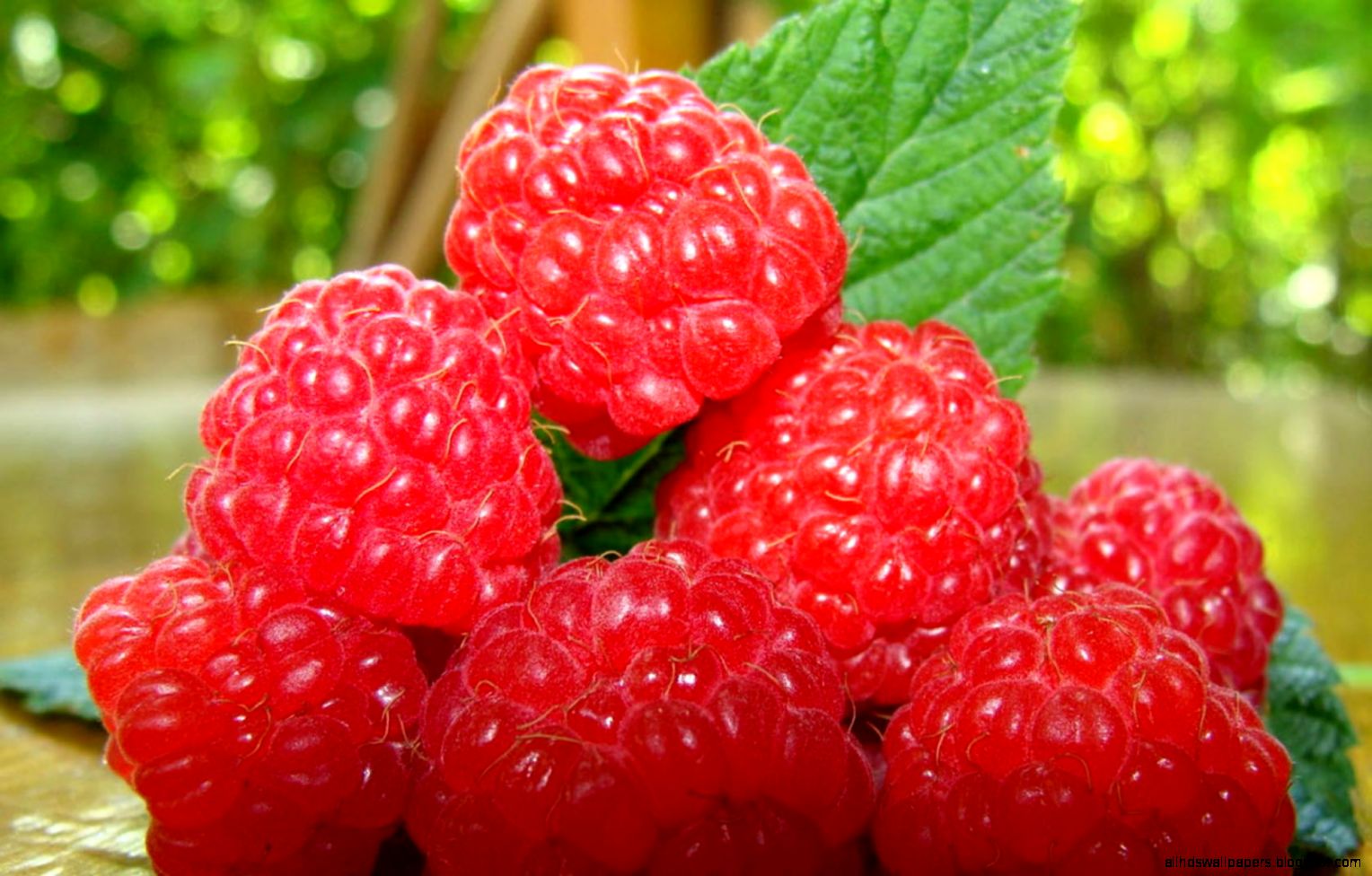 Hd Strawberries Desktop Wallpaper Image Widescreen - Mobile Hd Wallpaper Fruits - HD Wallpaper 