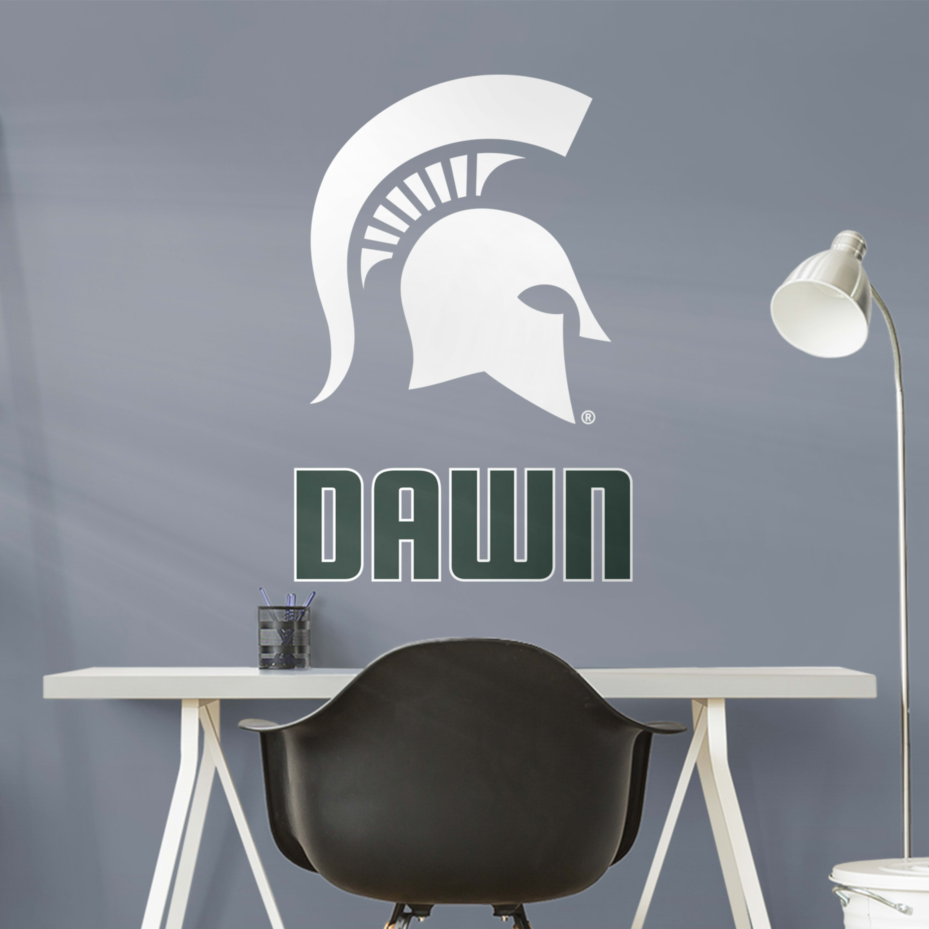 Michigan State Spartans Icon - HD Wallpaper 
