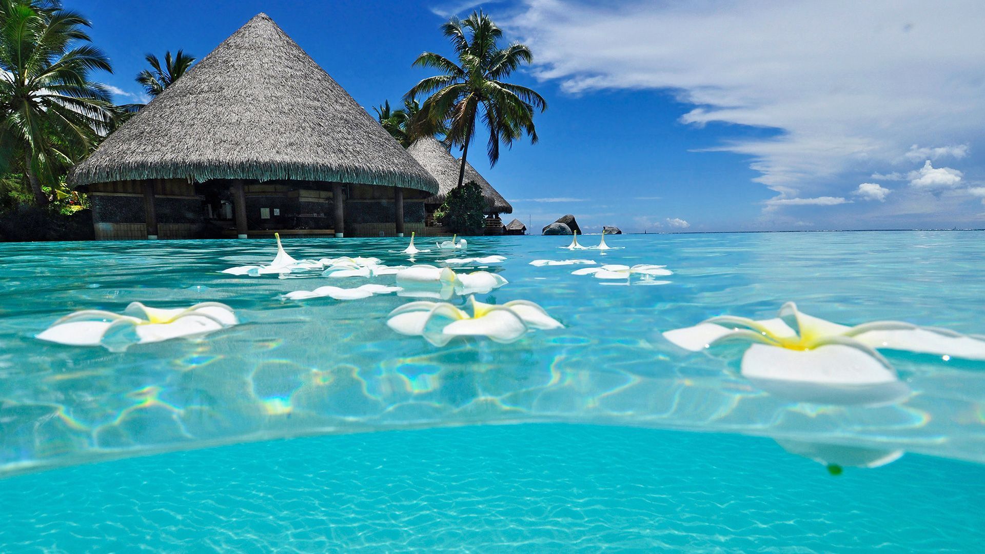 Beach Wallpapers Free Download Amazing Beautiful Hd - Beaches Wallpaper Hd - 1920x1080 Wallpaper Beach Wallpapers Free Download Amazing Beautiful Hd - Beaches Wallpaper Hd - 1920x1080 Wallpaper
