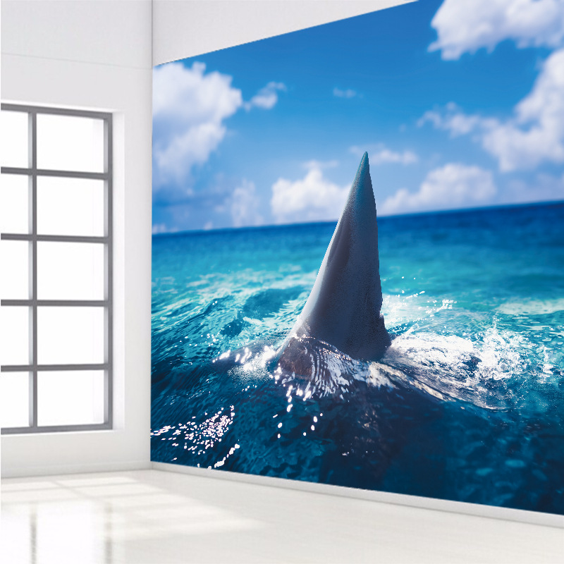 Shark Croatia - HD Wallpaper 