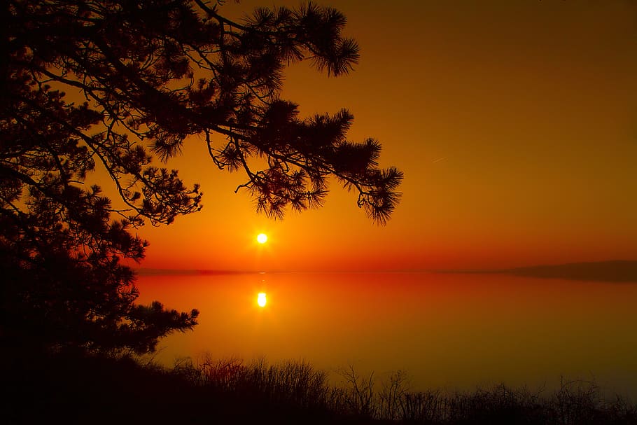 Sea, Sunset Wallpaper, Sunset, Dawn, Wood, Silhouette, - HD Wallpaper 