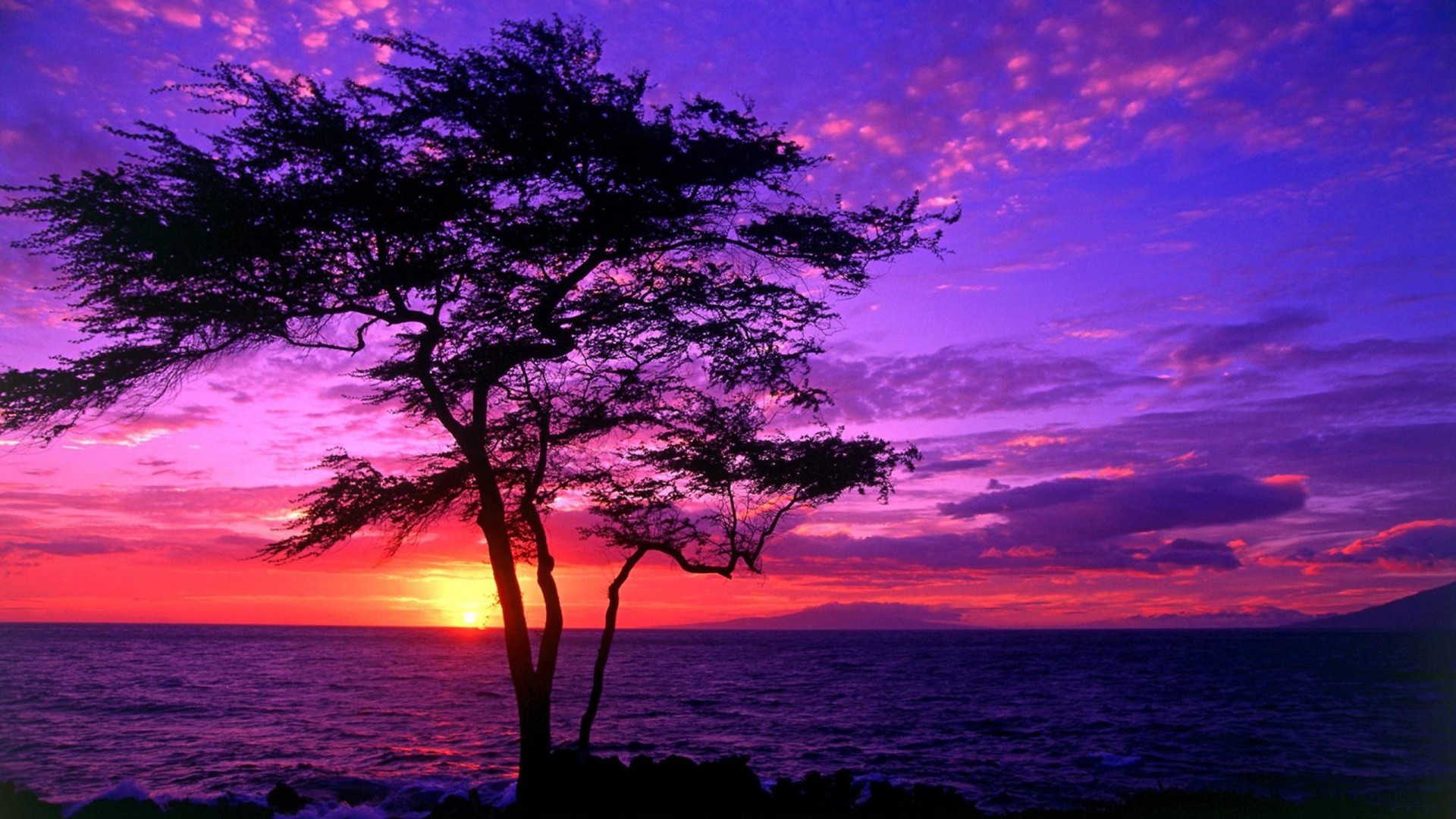 Sea Sunset Wallpaper - HD Wallpaper 