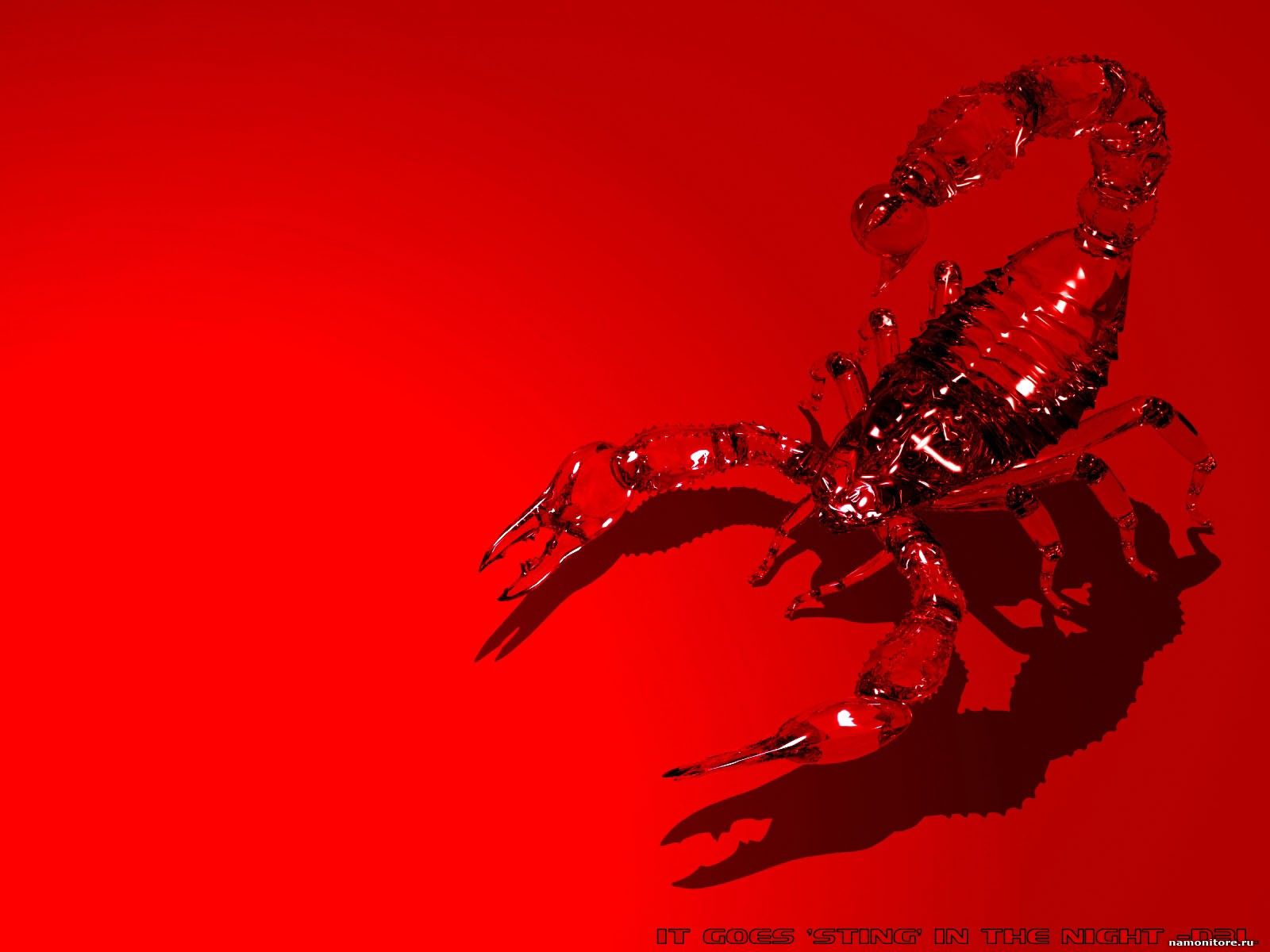 Scorpio Ultra Hd - HD Wallpaper 