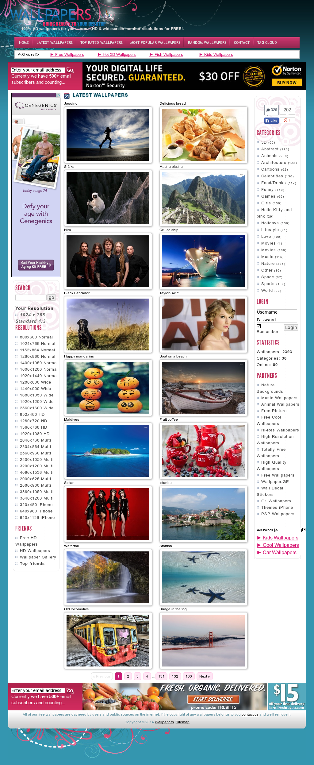 Web Page - HD Wallpaper 