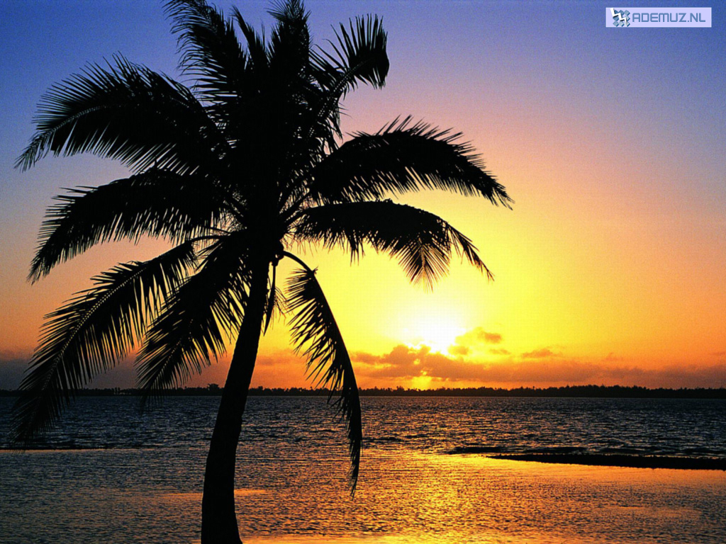 Key West Beach Sunset - HD Wallpaper 