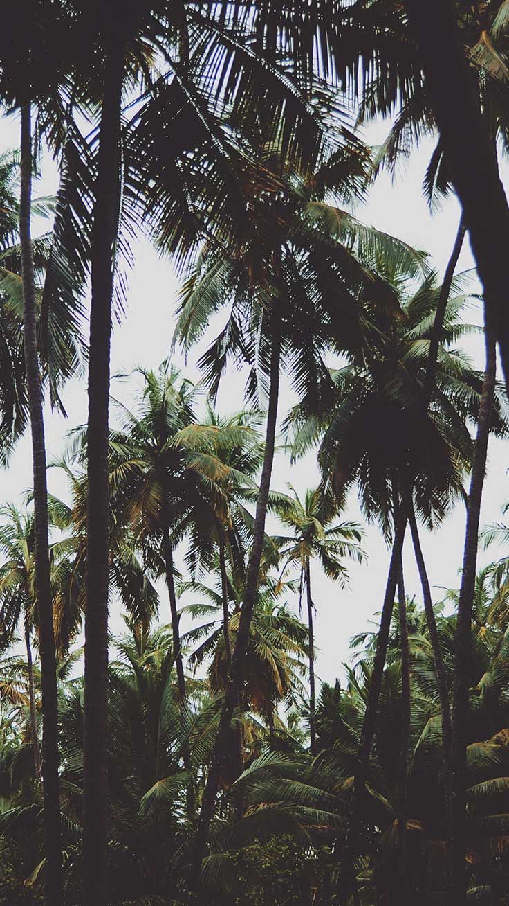 Ghstwrld & Metaxas Everything - HD Wallpaper 