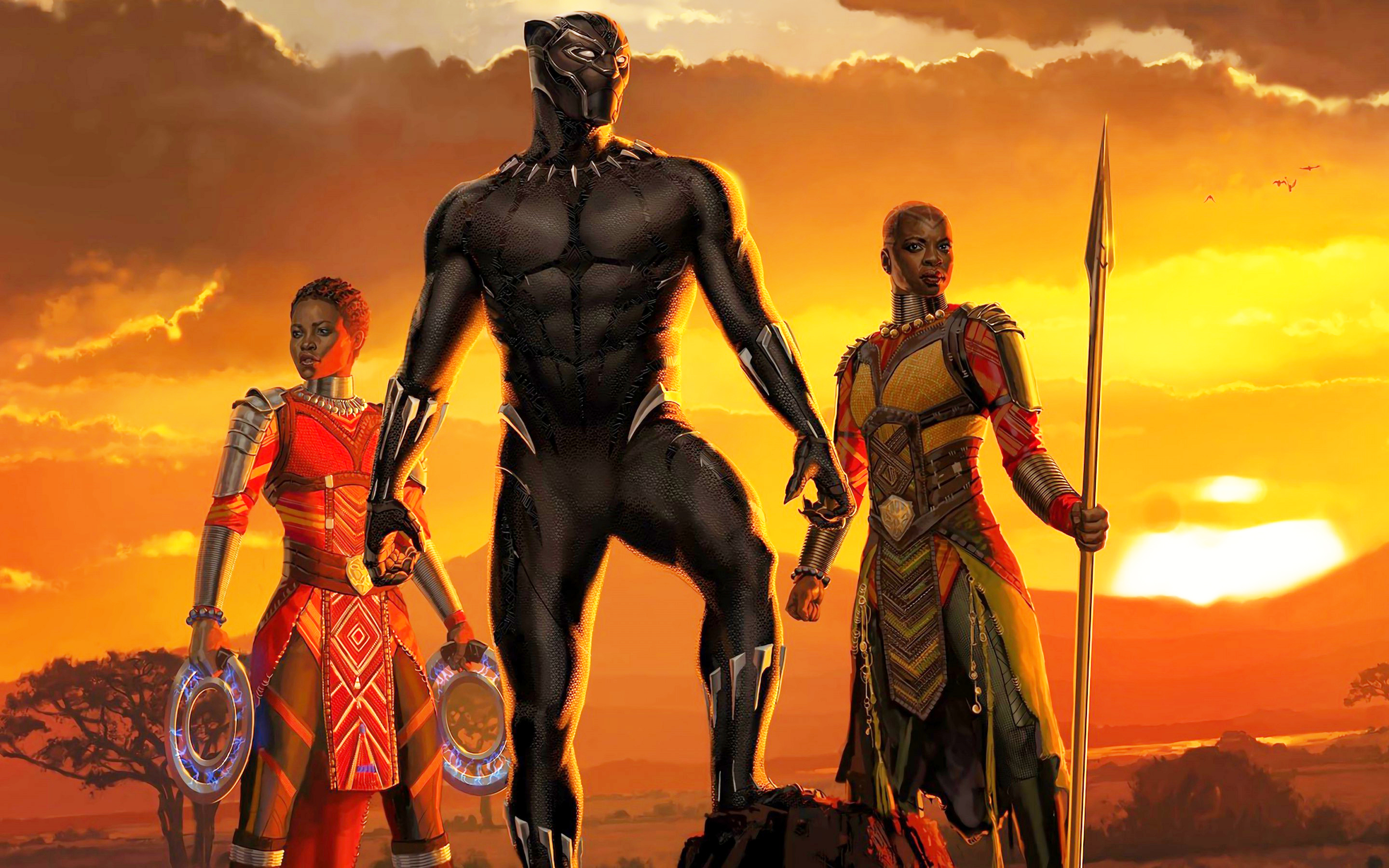Black Panther Nakia Okoye - HD Wallpaper 