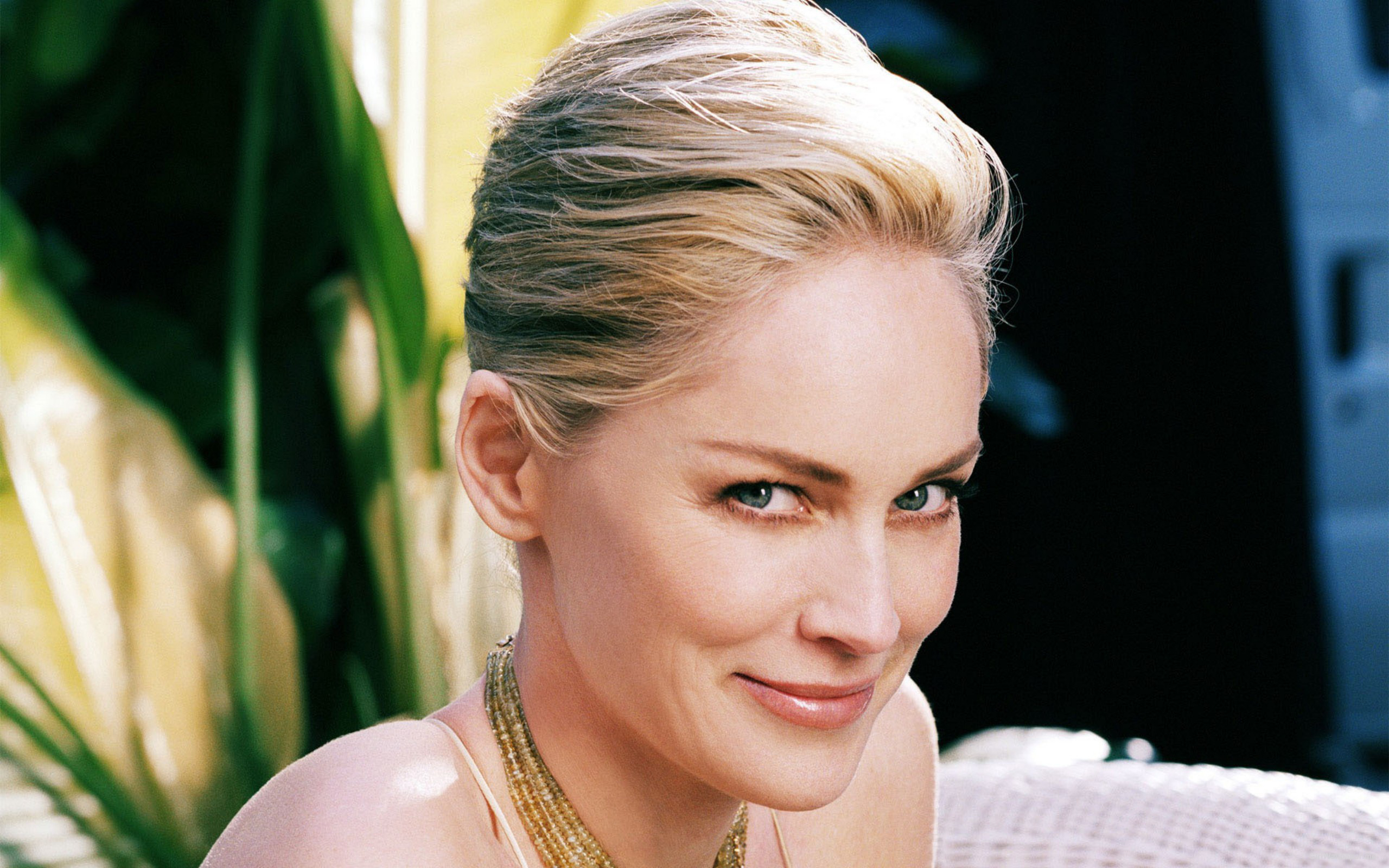 Sharon Stone Hd - HD Wallpaper 
