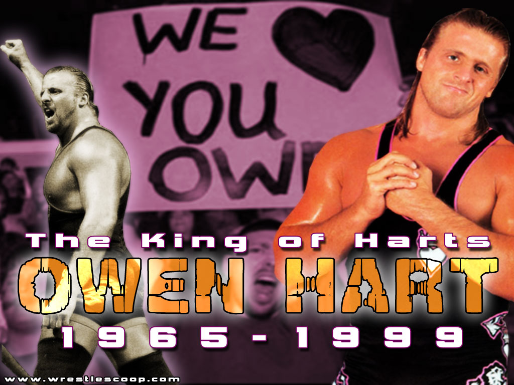 Owen Hart - HD Wallpaper 