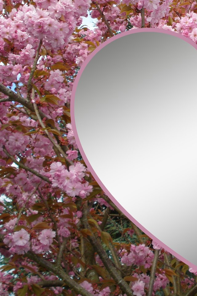 Valentine Day Wishes To My Love - HD Wallpaper 