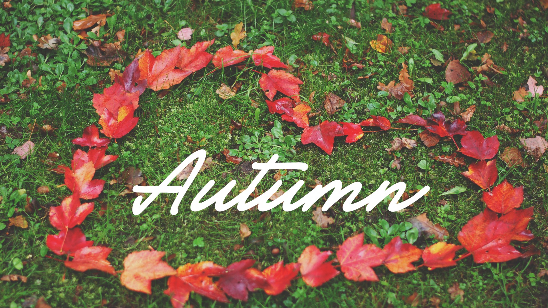 Heart Background - Wallpaper - HD Wallpaper 