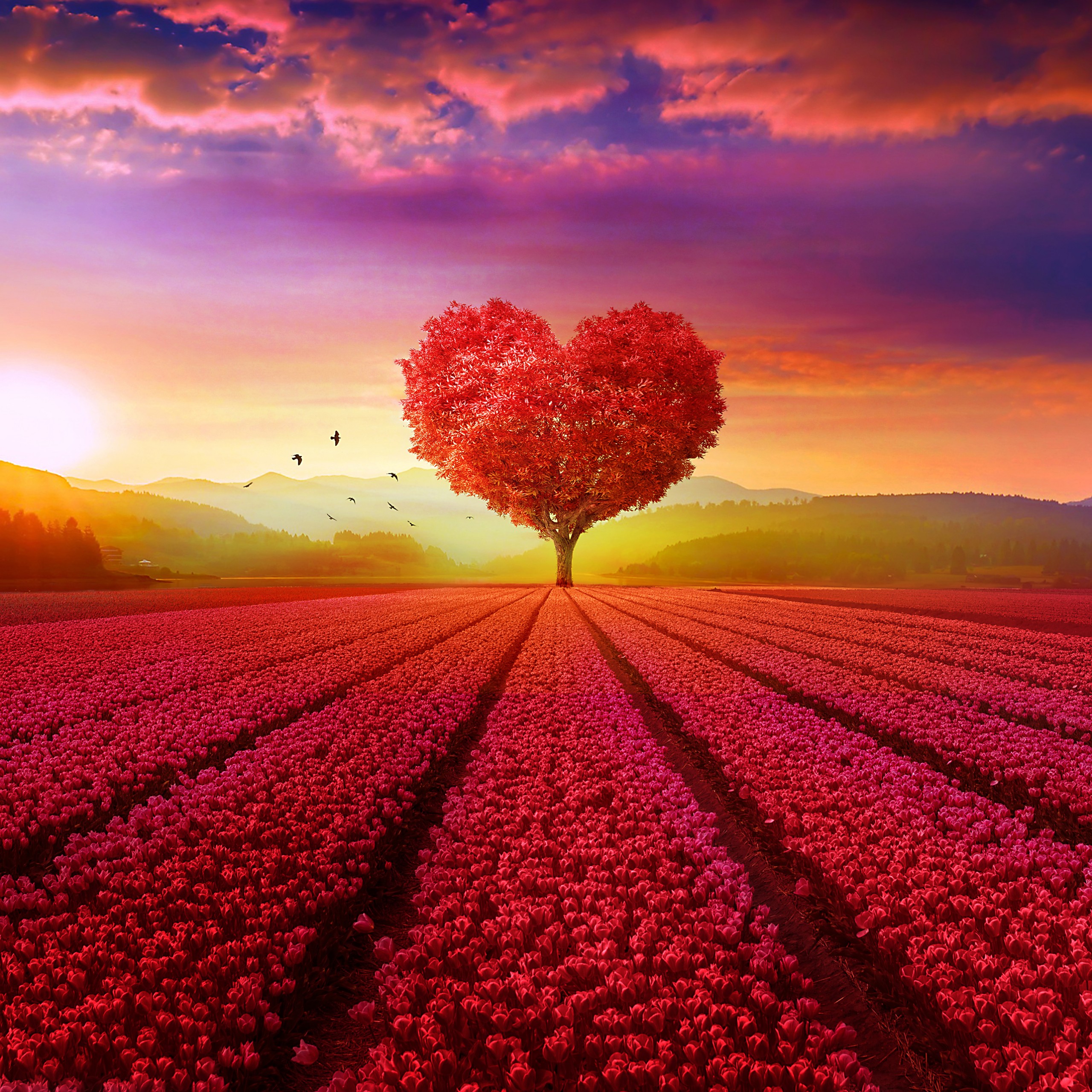 Hd Wallpapers 1080p Love - HD Wallpaper 