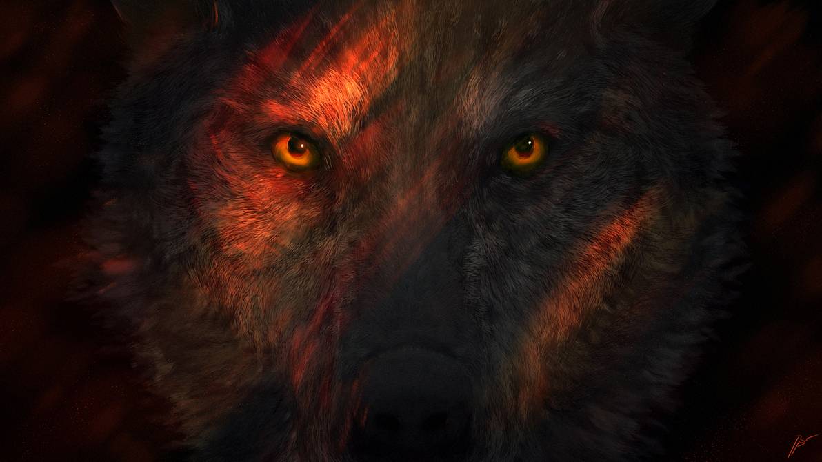 Wolf Wallpaper Eyes - HD Wallpaper 
