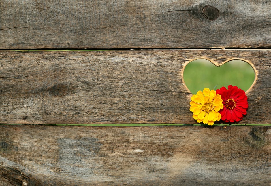 Flower On A Board Background - HD Wallpaper 