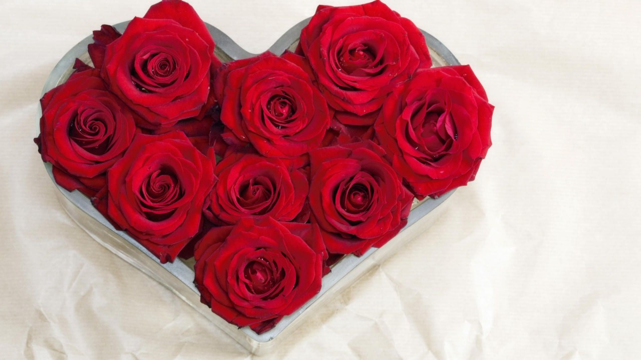 Heart Shaped Roses, Flower, Flowers Wallpapers - Happy New Year 2020 My Love - HD Wallpaper 