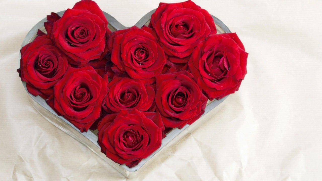 Heart Shaped Roses, Flower, Flowers Wallpapers - Happy New Year 2020 My Love - 1280x720 Wallpaper Heart Shaped Roses, Flower, Flowers Wallpapers - Happy New Year 2020 My Love - 1280x720 Wallpaper