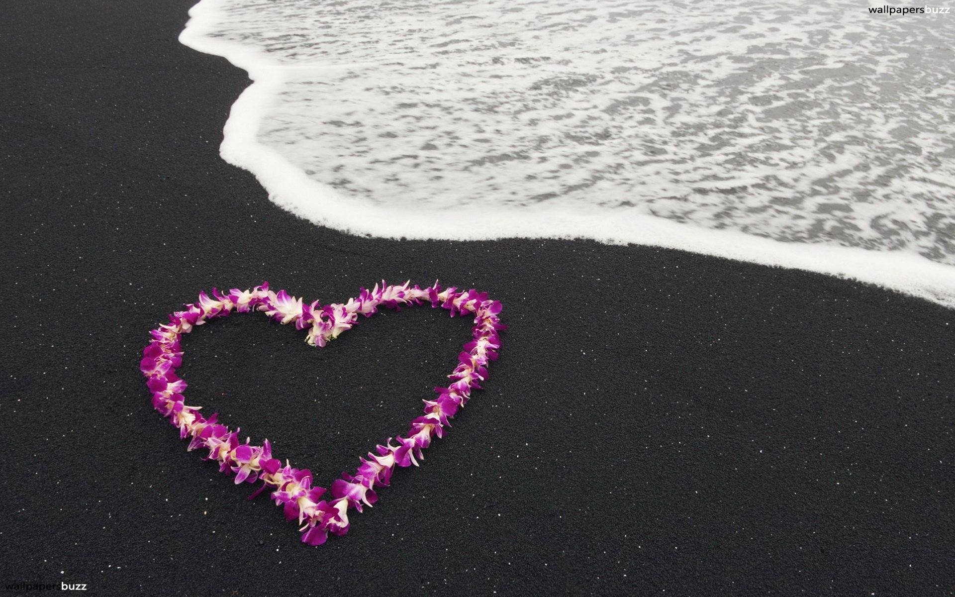 Black Sand Pink Sand Beach Hawaii 1920x1200 Wallpaper Teahub Io