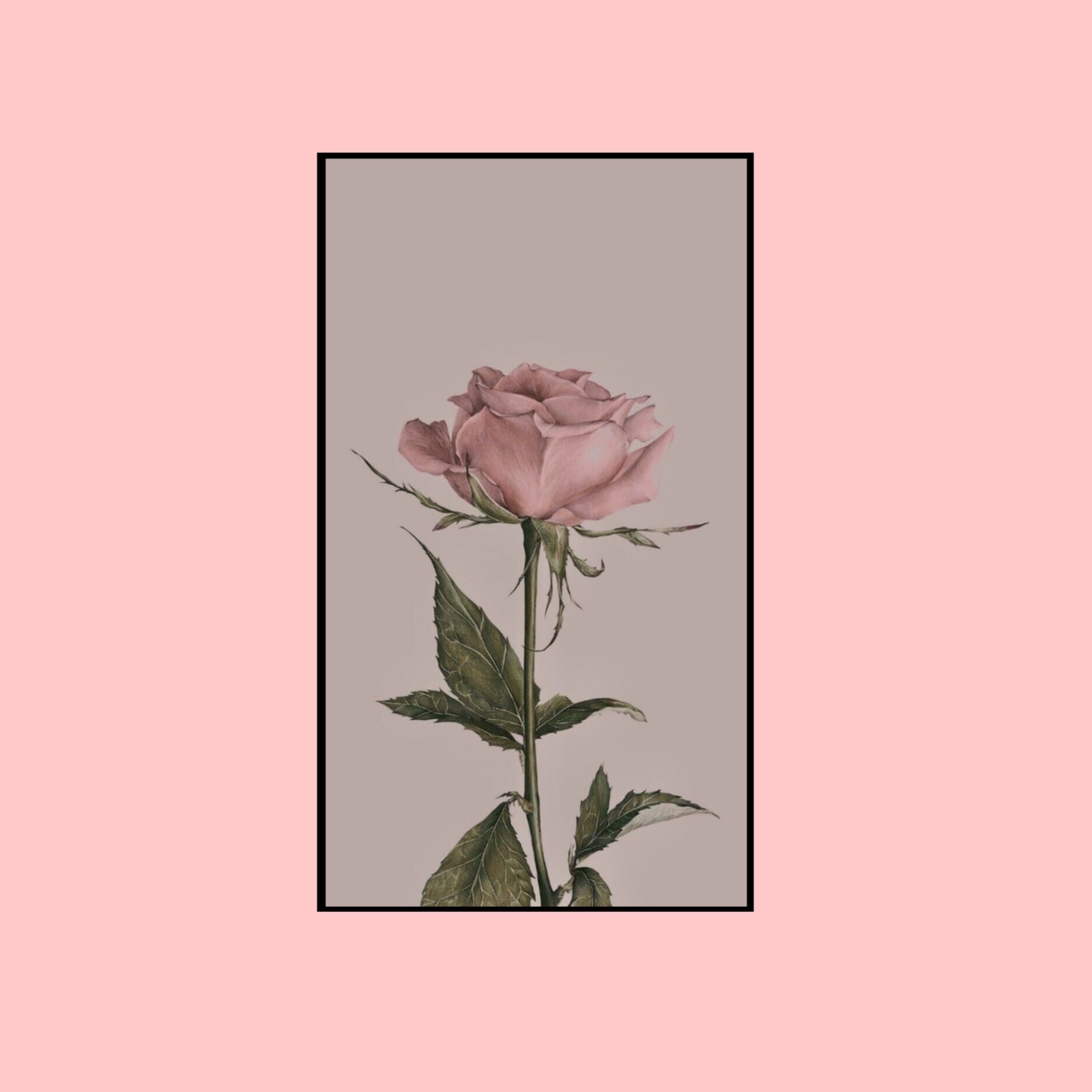 Flowers, Wallpaper, And 🌷 Image - Hintergrundbilder Blumen - 1280x1280 ...