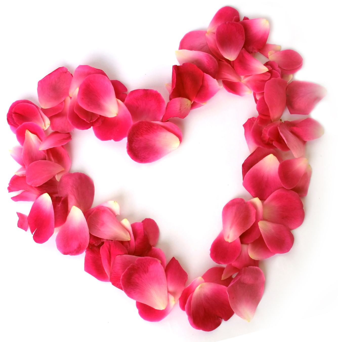 Pink Heart Flowers Love Heart With Flowers 1336x1350 Wallpaper Teahub Io
