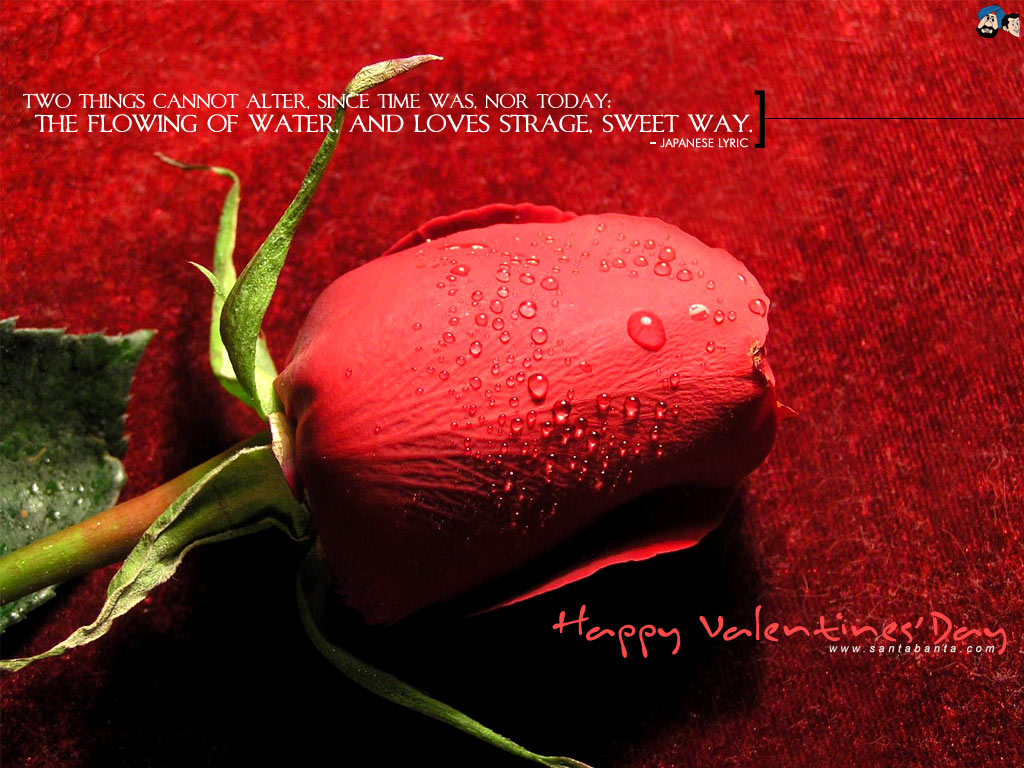 Valentine Day - Happy Birthday My Lovely Fiance - HD Wallpaper 