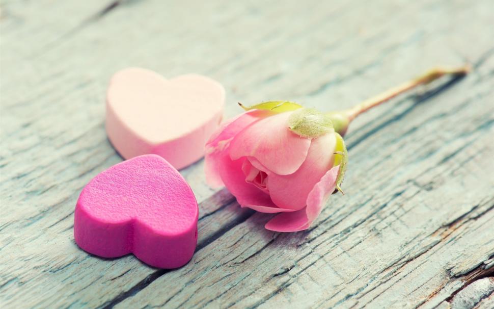 Pink Rose Flower, Petals, Love Hearts Wallpaper,pink - Pink Rose And Heart - HD Wallpaper 